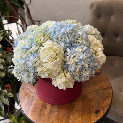 Hydrangeas in a Pink Hat Box