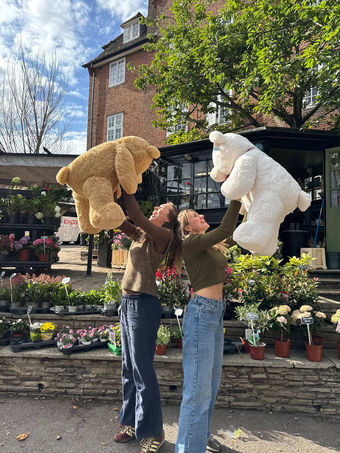 Large Brown Bear (75cm)