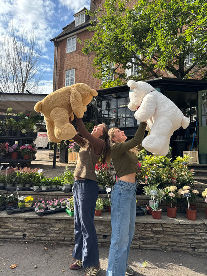 Large Brown Bear (75cm)
