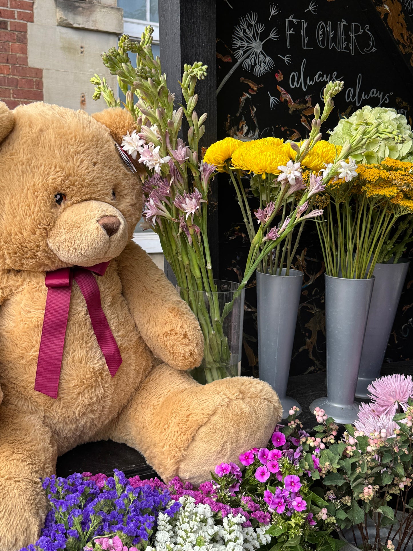 Large Brown Bear (75cm)