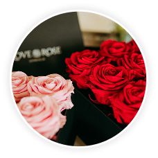 Infinity Roses collection