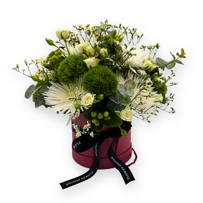 Ivory Elegance in a Hat Box