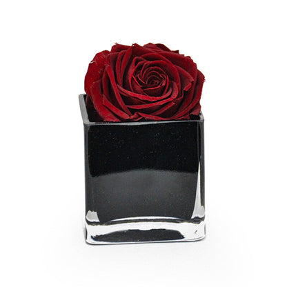Single Red Rose Head in Luxury Vase