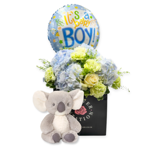 Little Prince Welcome Set