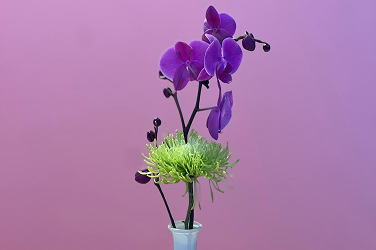 Oldacre Event Florist