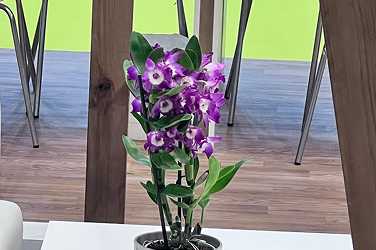 Oldacre Event Florist