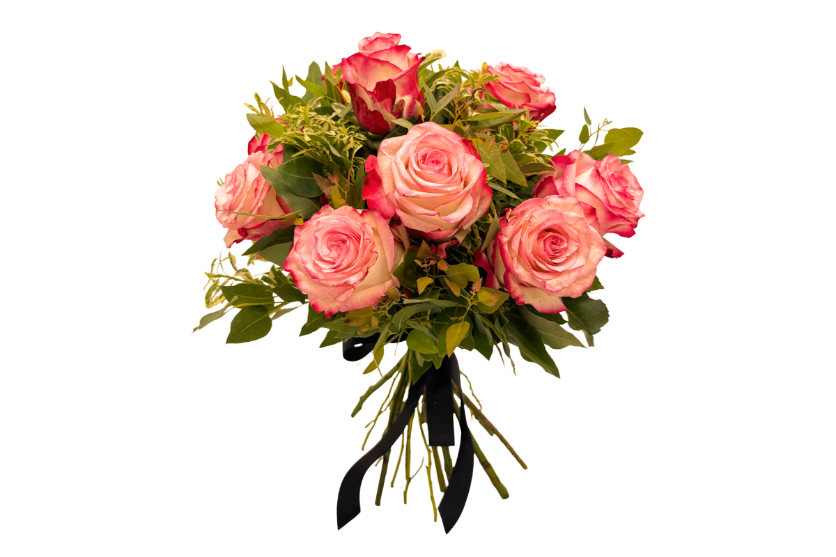 Paloma Blush