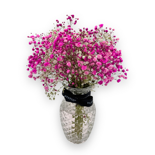 Pink baby's breath in a vase (Vase Included)