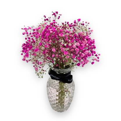 Pretty in Pink Gift Set