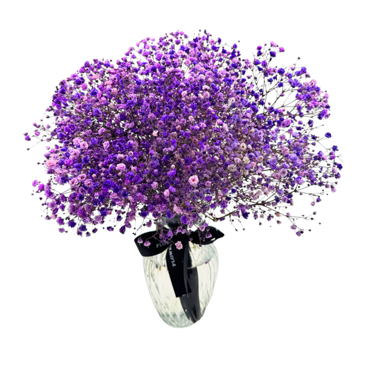 Purple Baby’s Breath in a Vase
