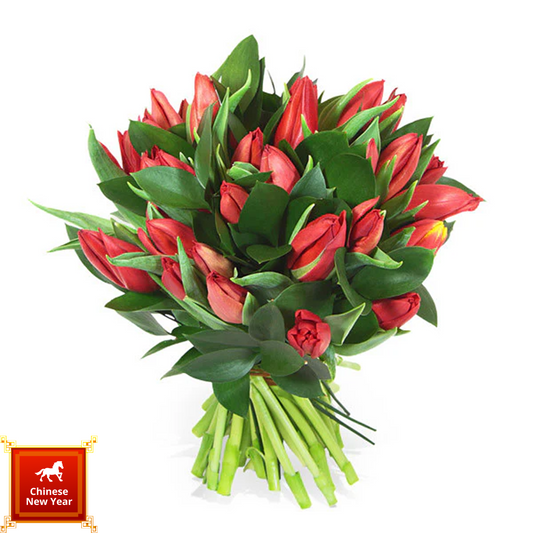 Red Fortune Ahead - 紅運當頭