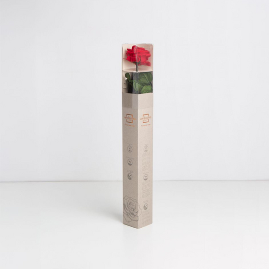 Red Infinity Rose Long Stem