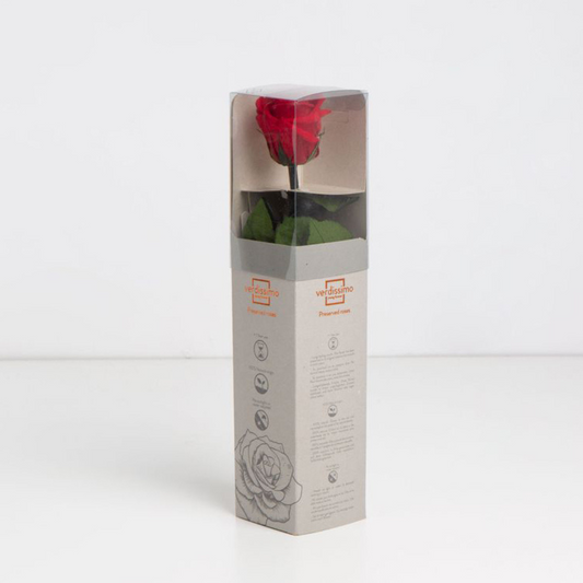 Red Infinity Rose Short Stem