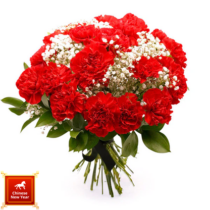 Ruby Horizon Bloom - 紅玉迎春