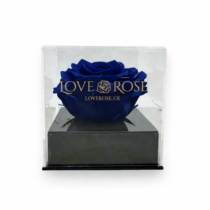 Single rose head in luxury case