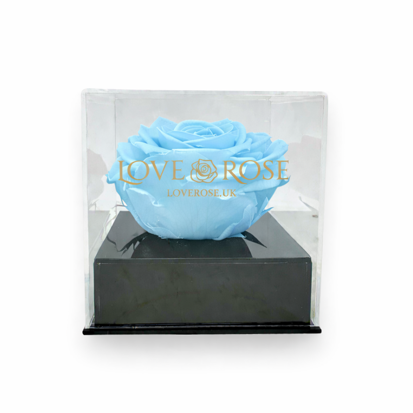 Single rose head in luxury case