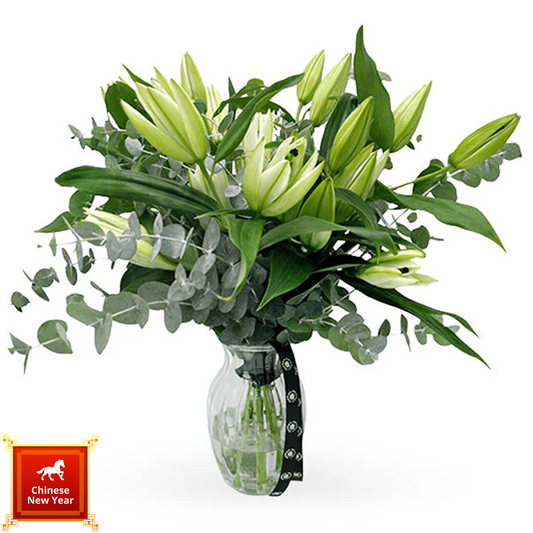 Snow Blossom Joy - 雪映春