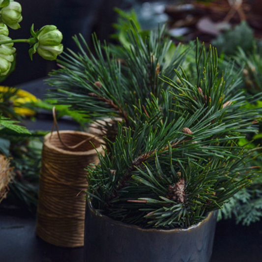The Art of Wreath Making