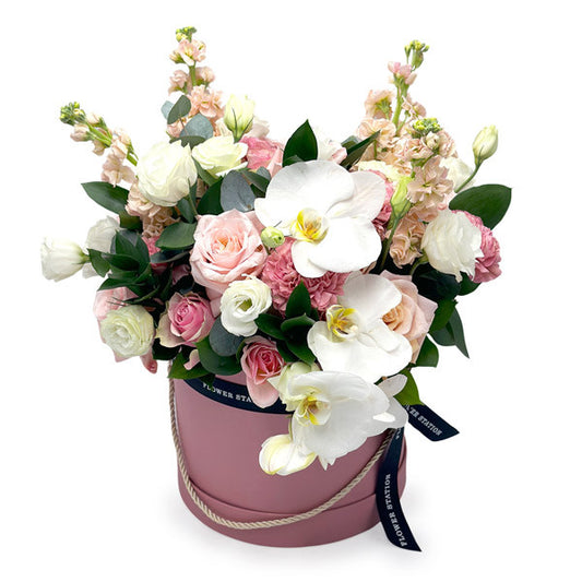 Orchid Elegance in a Hat Box