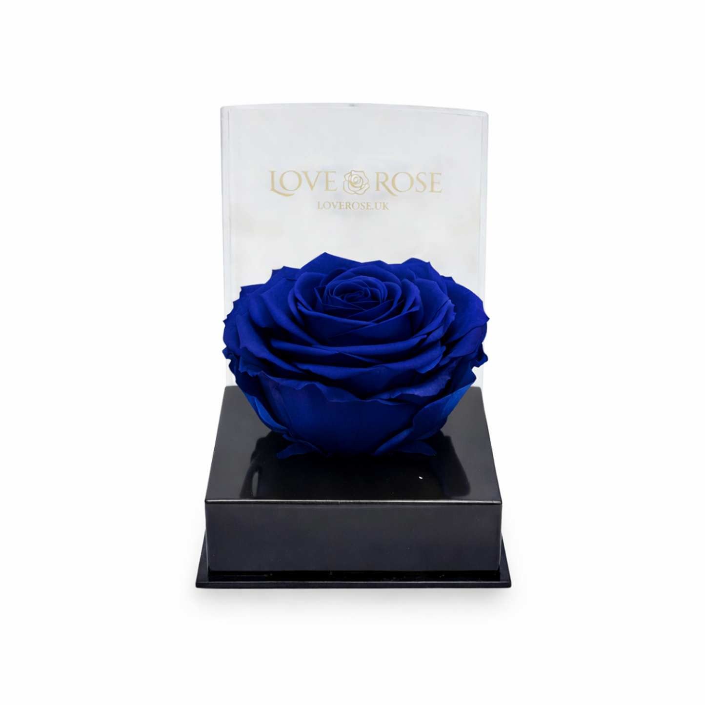 Single rose head in luxury case